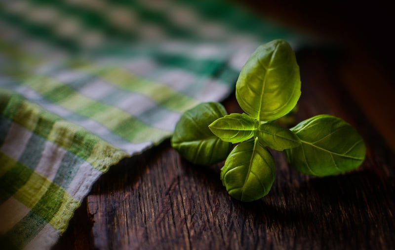 Herb Garden Ideas
